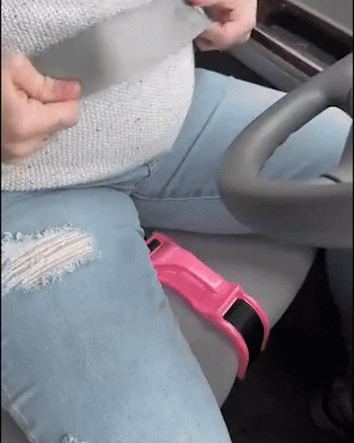 PregSafe