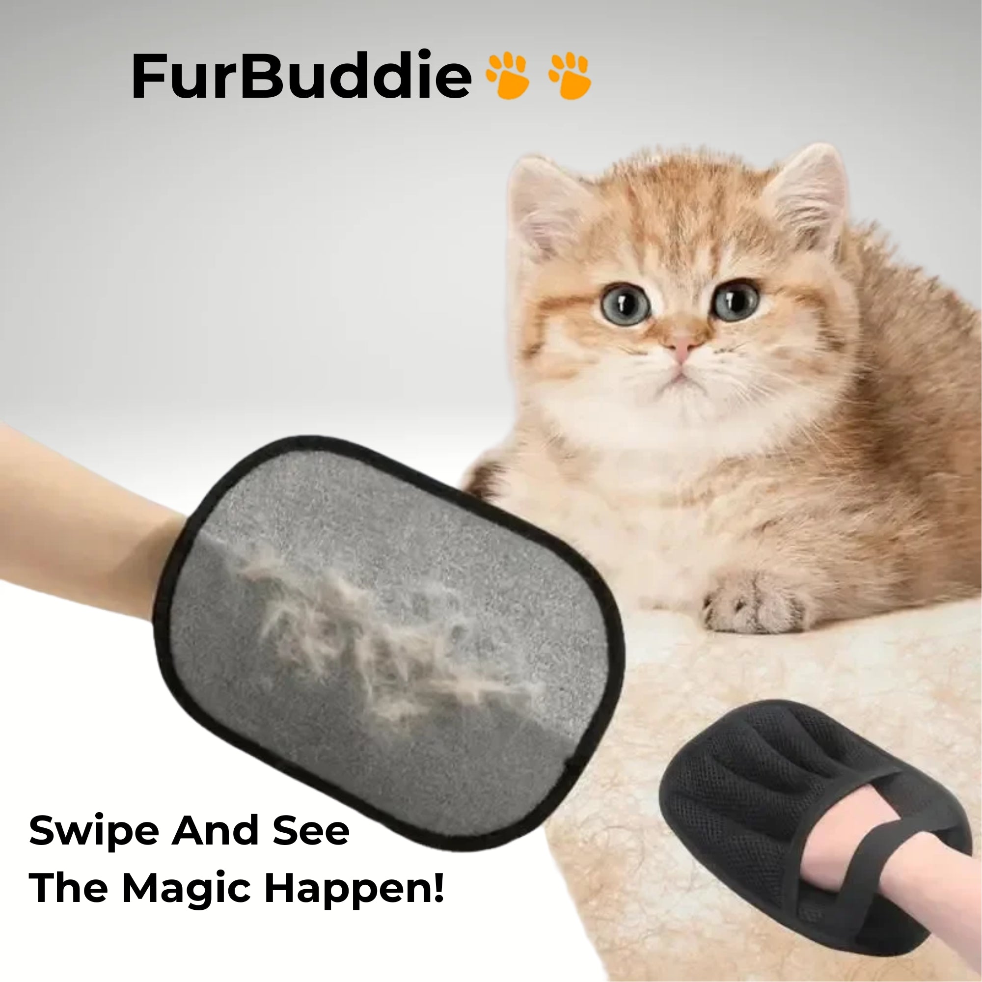 FurBuddie!