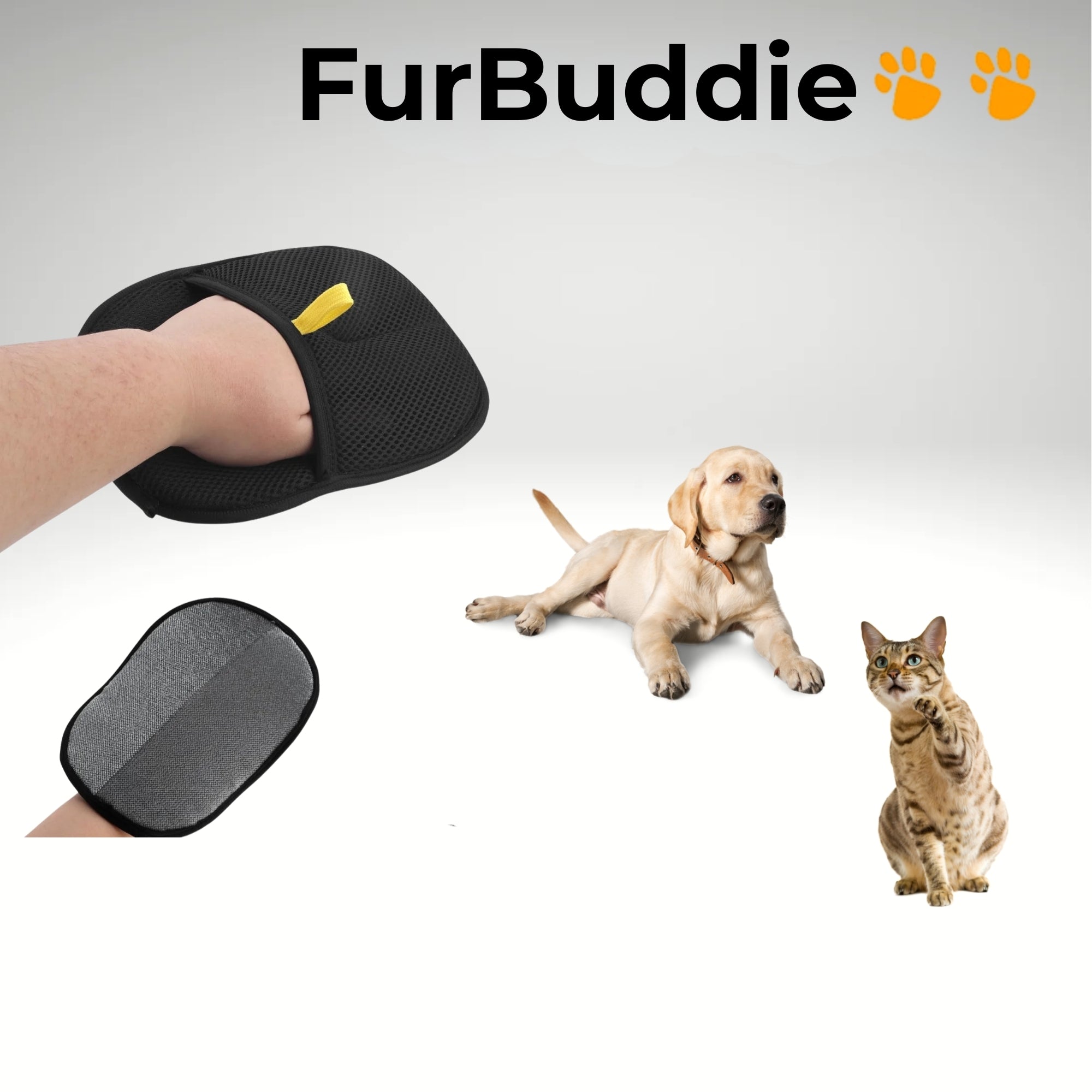FurBuddie!